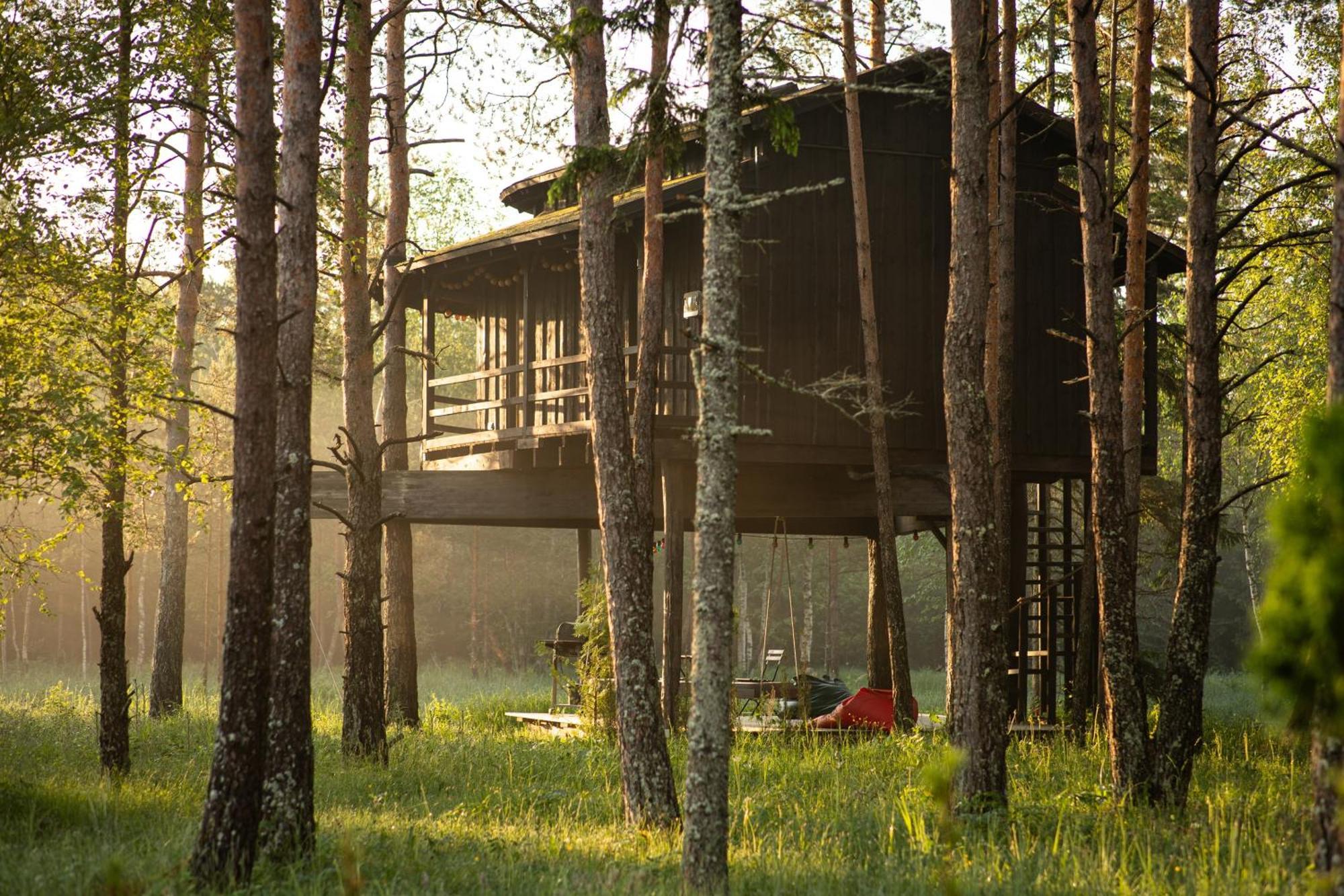 Sambliku Treehouse Villa Jogisoo Exterior photo
